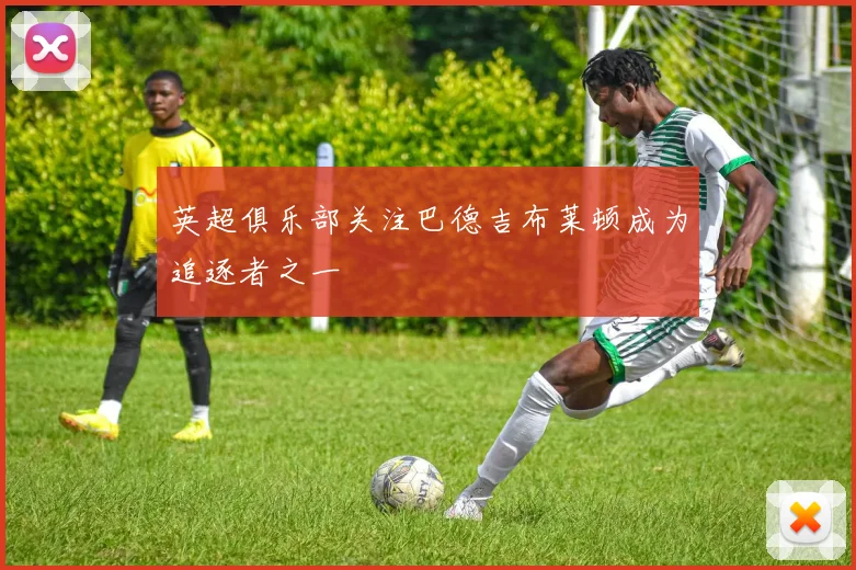 英超俱乐部关注巴德吉布莱顿成为追逐者之一