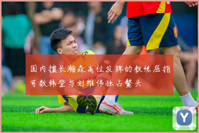 国内擅长瀚森高位发牌的教练屈指可数韩登与刘维伟独占鳌头